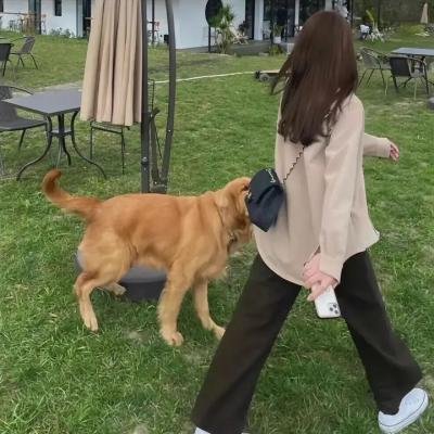 恐惧街