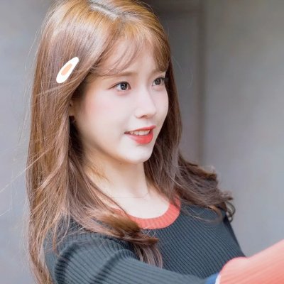 狗狗间谍